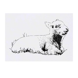 Azeeda 'Lamm, Das Auf Gras Sitzt' Temporäres Tattoo - Hautfreundlicher & Ungiftiger Abziehbild · Wasserfest (TO00048652)
