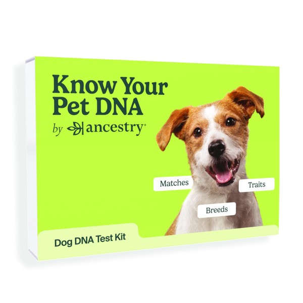 Know Your Pet DNA by Ancestry: Dog DNA Breed Identification Test, Genetic Traits, DNA Matches, Dog DNA Test