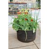 Smart Pots 3-Gallon Smart Pot Soft-Sided Container, Black with Cut