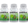 DOCTOR RECOMMENDED SUPPLEMENTS Berberine Plus 1200mg Per Serving - 120