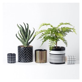 Annie Pearl Shine Professional Comb #150