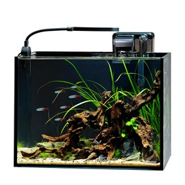 NICREW 2.5 Gallon Nano Nature Aquarium Kit, Ultra-Clear Rimless Desktop Fish Tank with Light and Filter, Perfect for Small Fish, Shrimp, or Betta, Basic Version, Black