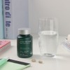 Stress Care Doualo l-Theanine Rhodiola Theanine Benefits Magnesium 3 Boxes