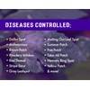 Liquid Harvest Broad Spectrum Disease Control – 32 Ounces -