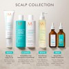 Moroccanoil Tratamiento Cuero Cabelludo Seco, 45 ml
