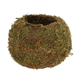 Esschert Kokedama Moss Ball S Diameter 9 cm