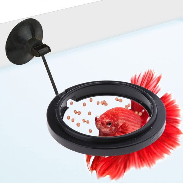 SunGrow Betta Feeding Ring, Prevent Water Turbulence from Washing Food into Filter, Practical Round Floating Food, Suitable for Guppy, Goldfish and Other Small Fish (1 Pc)