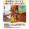 腸活革命 菌と酵素の新習慣 サプリメント 酪酸菌 ビフィズス菌 31日分
