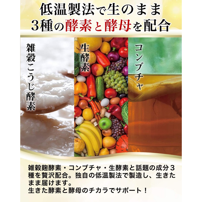 腸活革命 菌と酵素の新習慣 サプリメント 酪酸菌 ビフィズス菌 31日分