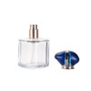 Jinxihuachen 50ml/1.69 Oz Empty transparent Glass Spray Bottles Perfume Atomizer,