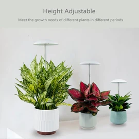 LED Grow Lights for Indoor Plants 2 Pack, Smart Full Spectrum USB Small Plant Lights with Remote, Height Adjustable, Auto On/Off Timer, Ideal for Home Decoration