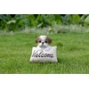 HiLine Gift Ltd. Shi Tzu Puppy with Welcome Sign- Brown&