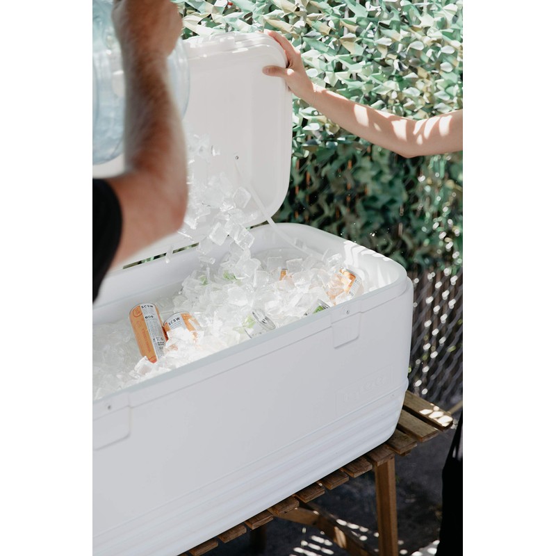 Igloo Polar 120 Qt. Cooler