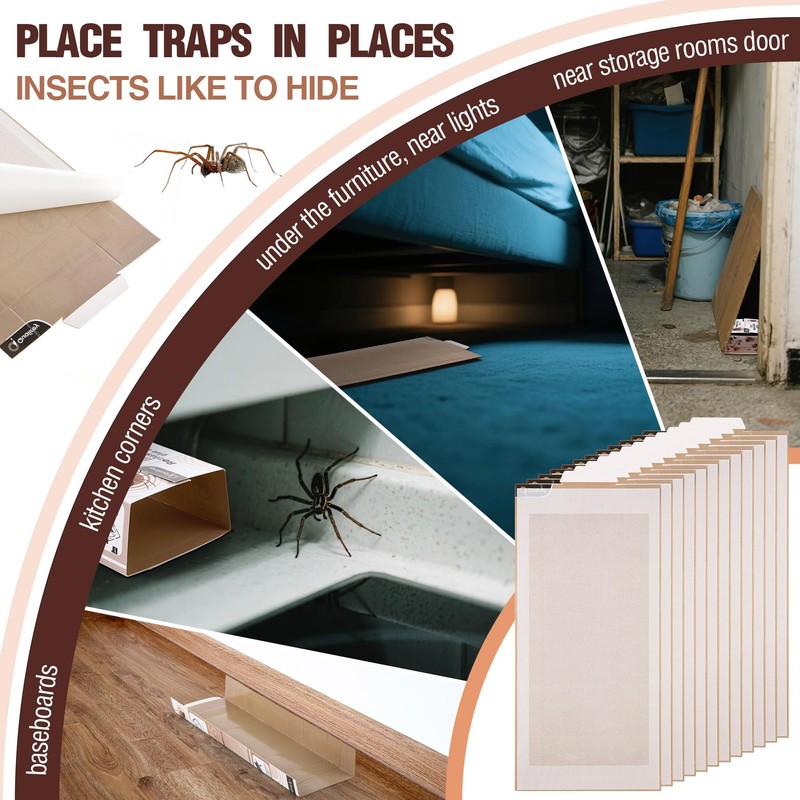 Qualirey 12 Pack Spider Traps Indoor for Brown Recluse Spiders,