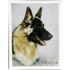 Ruth Maystead German Shepherd Head Study Note Card Set -