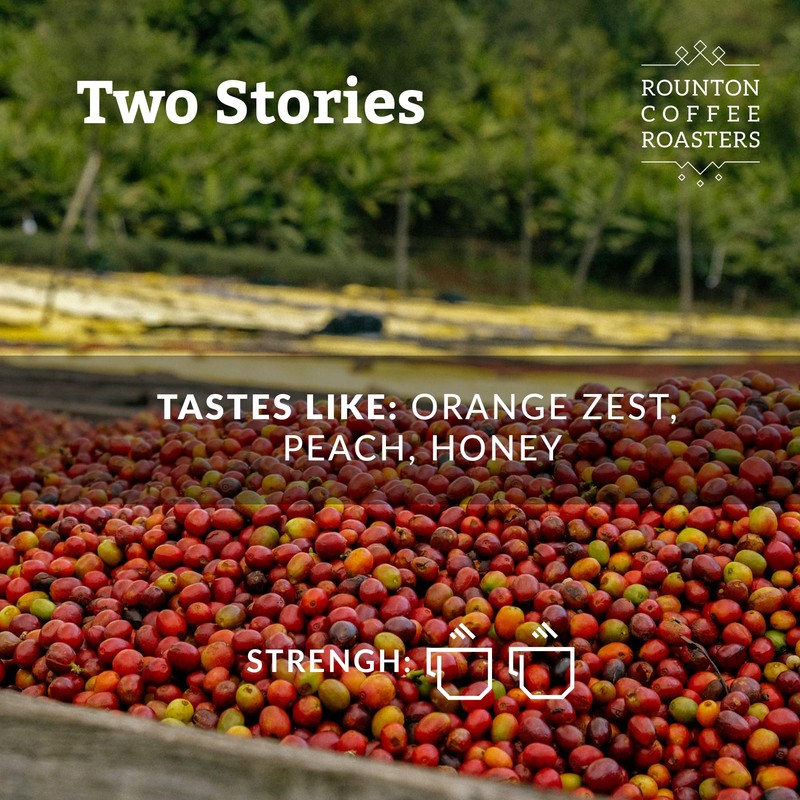 Rounton Coffee Roasters | 250g | Freshly Roasted Coffee |