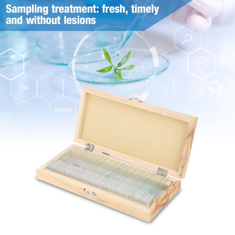 50pcs Biology Glass Prepared Microscope Slides Lab Specimens With Wood