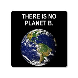 AV There is No Planet B Stickers, Save Mother Earth Decal, Stop Global Warning Vinyl for Cars, Trucks, Laptops, Coolers and More (Black)
