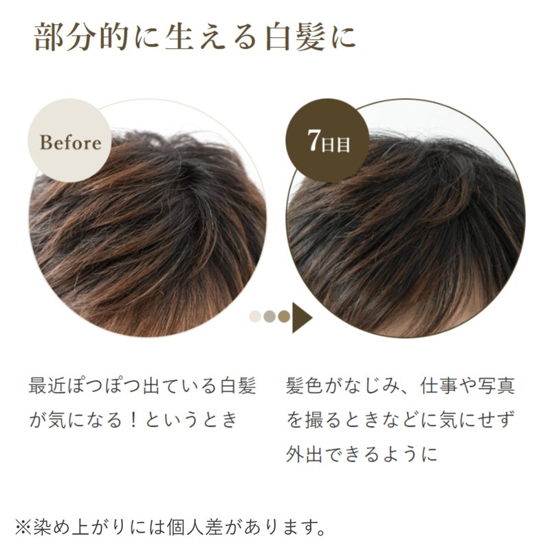 Life Tree 4954753096789 Hair Color Treatment, Natural Black, 7.1 oz