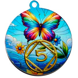 3 Year Recovery Coin, NA Narcotics Anonymous Chip, Sobriety Butterfly Chip, NA Coin