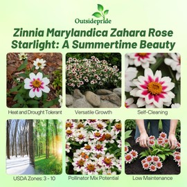 Outsidepride Zinnia Marylandica Zahara Rose Starlight Seeds – 50 Pcs. Annual Bicolor Blooms, Drought & Heat Tolerant Flower Seeds, Ideal for Garden Beds & Pollinator-Friendly Spaces (AAS Winner)