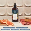 Hierbana Pack Anticaída Shampoo Extractos Naturales 500 Tratamiento Fortalecer Estimular
