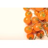 Sunsugar Hybrid - Tomato Seeds