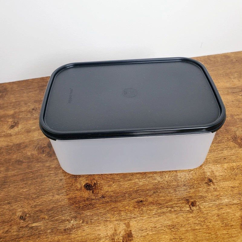 Undisclosed Tupperware Modular Mate #1609 18 Cup Rectangular Storage Container