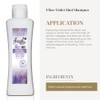 Salerm Ultra Violet Shot Shampoo 300ml - Incluye Regalo -