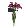 Danya B Decorative Wall Mount Amphora Glass Flower Vase on
