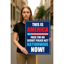 No Kings In America Protest Sign, This is America, Anti-Trump, Political Activist Poster, Rally Sign, Resist Fascism Protest Poster