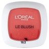 L'Oreal Paris True Match Blush 163 Nectarine