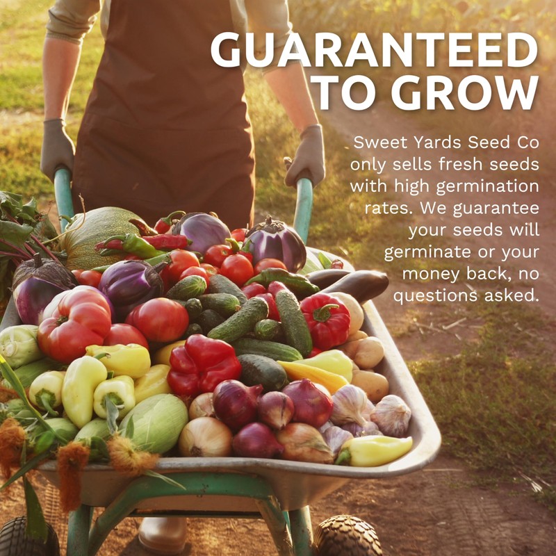 Organic Herb Seeds Variety Pack - 5 Individual Packs -