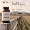 Grass-Fed Beef Liver Capsules, New Zealand, 2400mg per Serving, 120