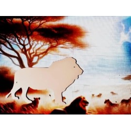 DCentral® Lion Flexible Vinyl Safety Screen Magnets: Double-Sided. White-Easier to See Day & Night. Decorative. Helps Stop Walking into Screens, for Non-RETRACTABLES, Size W 6.5" x L 4.5"