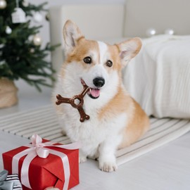 SPOT by Ethical Products Bambone Braided Stick, Ring and Triple Chew Dog Bone Bundle - Hickory & Bison Flavored Anti Anxiety Bone for Aggressive Chewers & Dental Health for Dogs - Small (3 Pack)