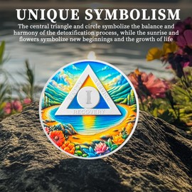 1 Year Sobriety Coin - NA/AA Recovery Chip and Medallion with Serenity Prayer - Triangle Affirmation Token Gift for Sober Women & Men in Addiction Recovery