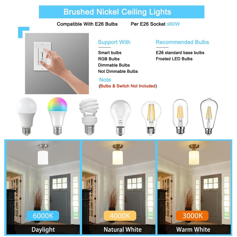 Brushed Nickel Hallway Light Fixtures Ceiling 1-Light Semi Flush Mount