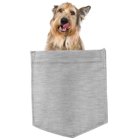 Berger Picard Dog in Pocket Car Bumper Magnet, Magnetic for Refrigerator, Decorative Fridge, Office, Whiteboard, Kitchen, Locker Waterproof Decor, Family & Friends, 4x7 in