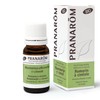 Pranarôm Bio Essential Oil Cineole Rosemary (Rosmarinus officinalis CT cineole)