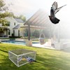 Heavy-Duty Pigeon Trap Cage with Escape-Proof Design – Auto Bird
