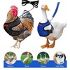 Pack of 2 Chicken Harness with Lead, Adjustable Chicken Harness