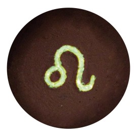 Ghoulish Productions Aplicación Maquillaje Fluorescente Signo Del Zodiaco Leo