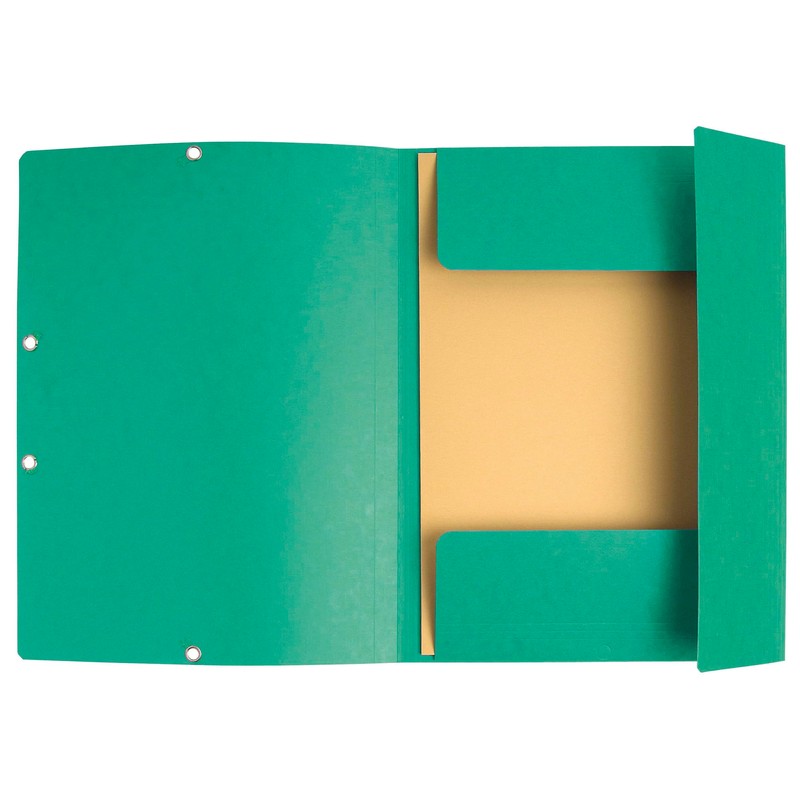 Exacompta 55303E Pack of 10 Portfolders Made of Extra Strong