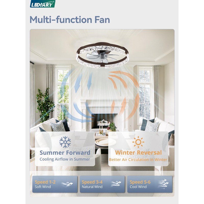LEDIARY 20 Inch Low Profile Ceiling Fans with Lights and