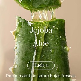 RAW SUGAR, The Scalp Restore Shampoo, Jojoba y Aloe, Limpia el Cuero Cabelludo, Hidrata y Refresca Cabello, 16 OZ