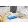HAN Croco flashcard Box, Easy to Learn Vocabulary with 5-Compartment