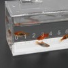 Fish Viewing Box Container with Lid and Scale, Acrylic Portable