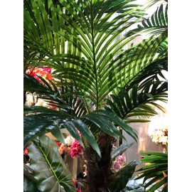 AMERIQUE Gorgeous 6 Feet Cycas Revoluta Sago Palm Tree with Nursery Pot, Real Touch Technology, with UV Protection, Super Quality