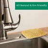 Natural Loofah Kitchen Sponge (3 Pack) - Natural Sponges for